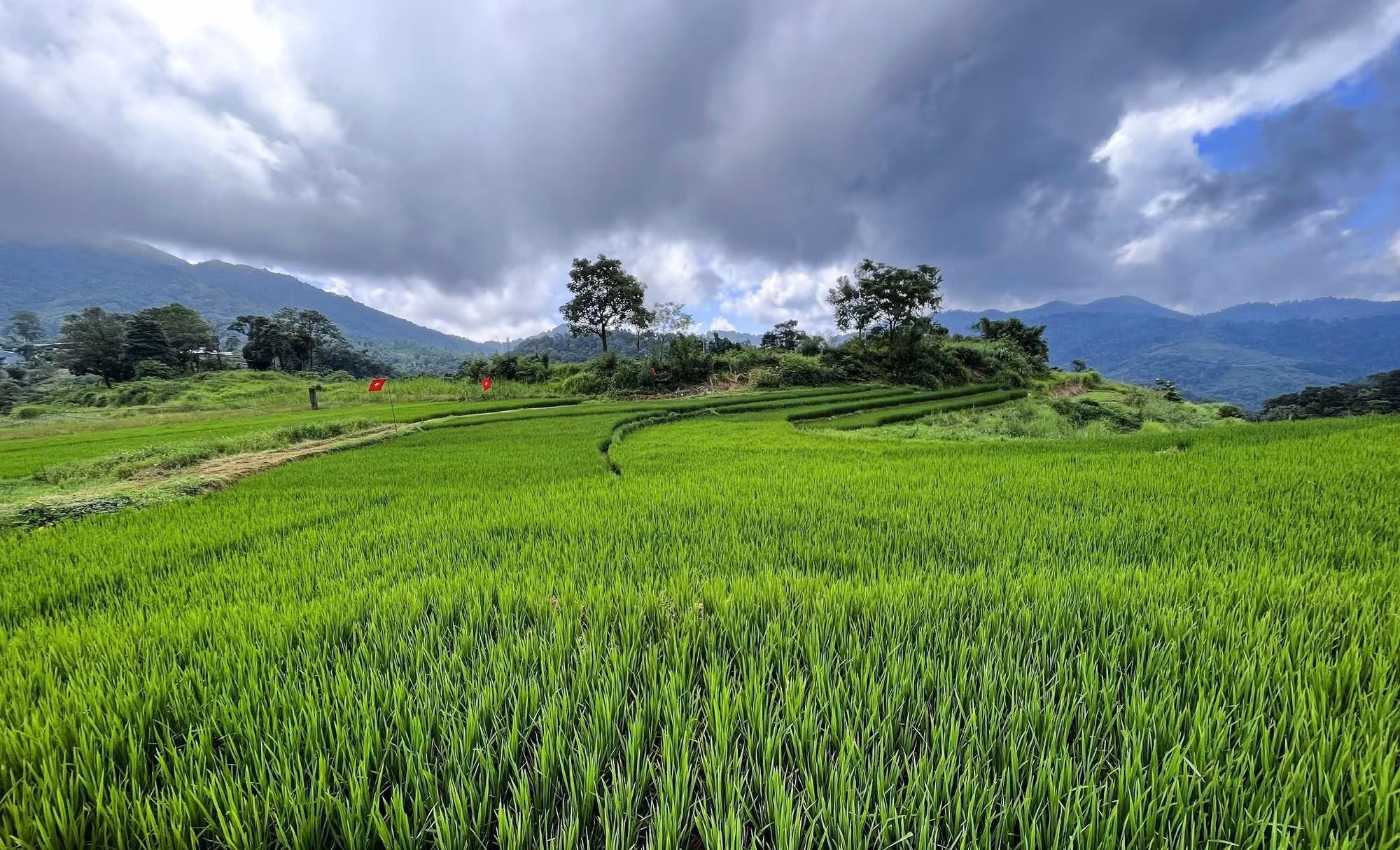 Những thửa ruộng bậc thang tại xóm Mừng, xã Cao Phong (Phú Thọ).