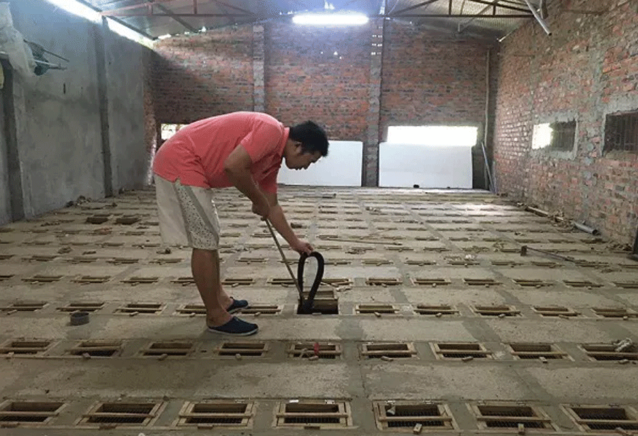Nghề nuôi rắn ở Tứ Xã gặp khó vì COVID-19