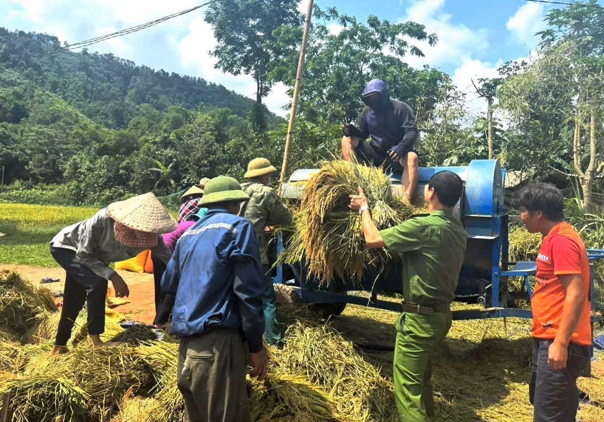 Công an xã Đồng Tâm (Tuyên Quang) hỗ trợ nhân dân thu hoạch lúa chín. Ảnh: TTXVN phát