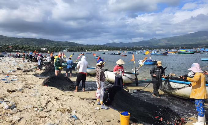 potal-ngu-dan-phu-yen-duoc-mua-khai-thac-tom-hum-giong-7805940.jpg