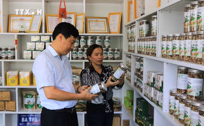 vna_potal_dong_thap_co_56_san_pham_ocop_che_bien_tu_sen_7375057.jpg