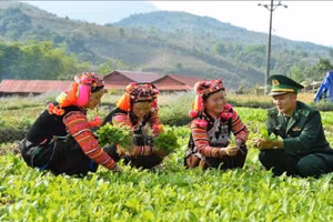 Khai thác chỉ dẫn địa lý, mở rộng thị trường đặc sản vùng dân tộc thiểu số