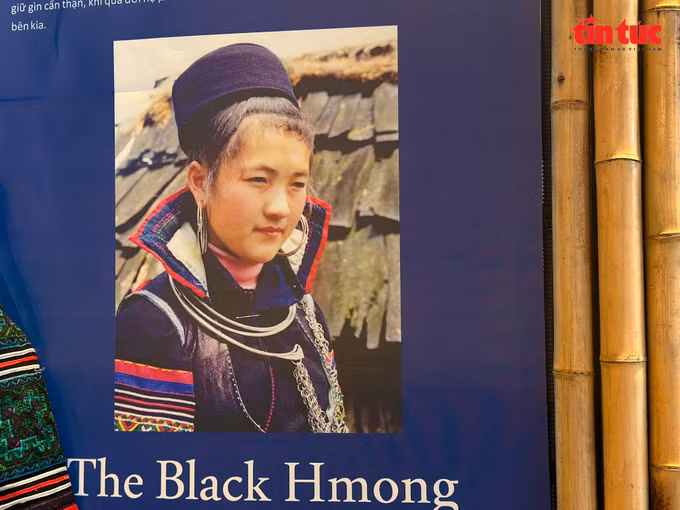 laocai-2.jpg