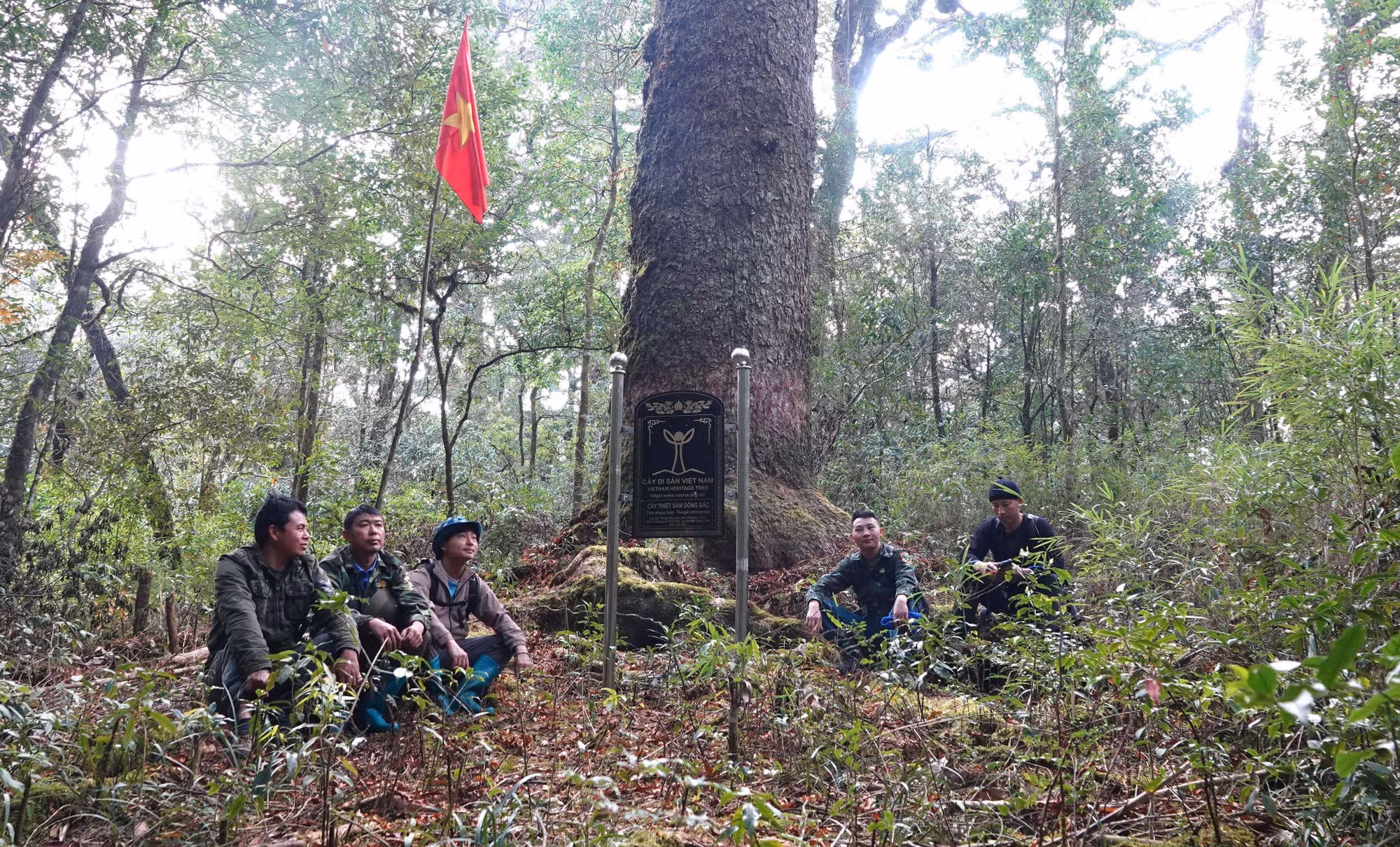 cp-1-potal-ngo-ngang-ve-dep-cua-canh-rung-nguyen-sinh-o-vung-cao-mu-cang-chai-7935962.jpg