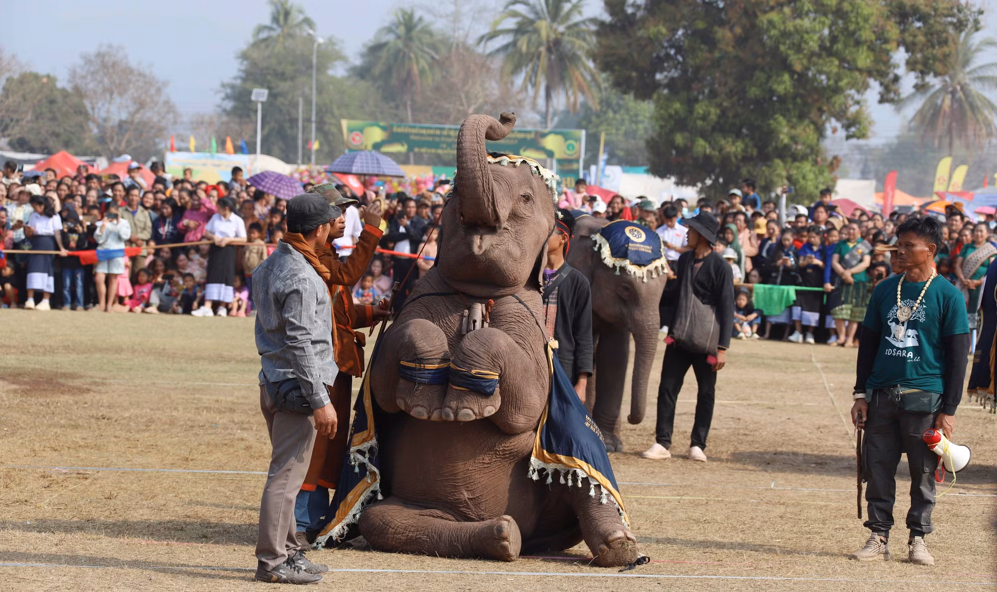 potal-lao-to-chuc-le-hoi-voi-sayaboury-nam-2025-7869624.jpg