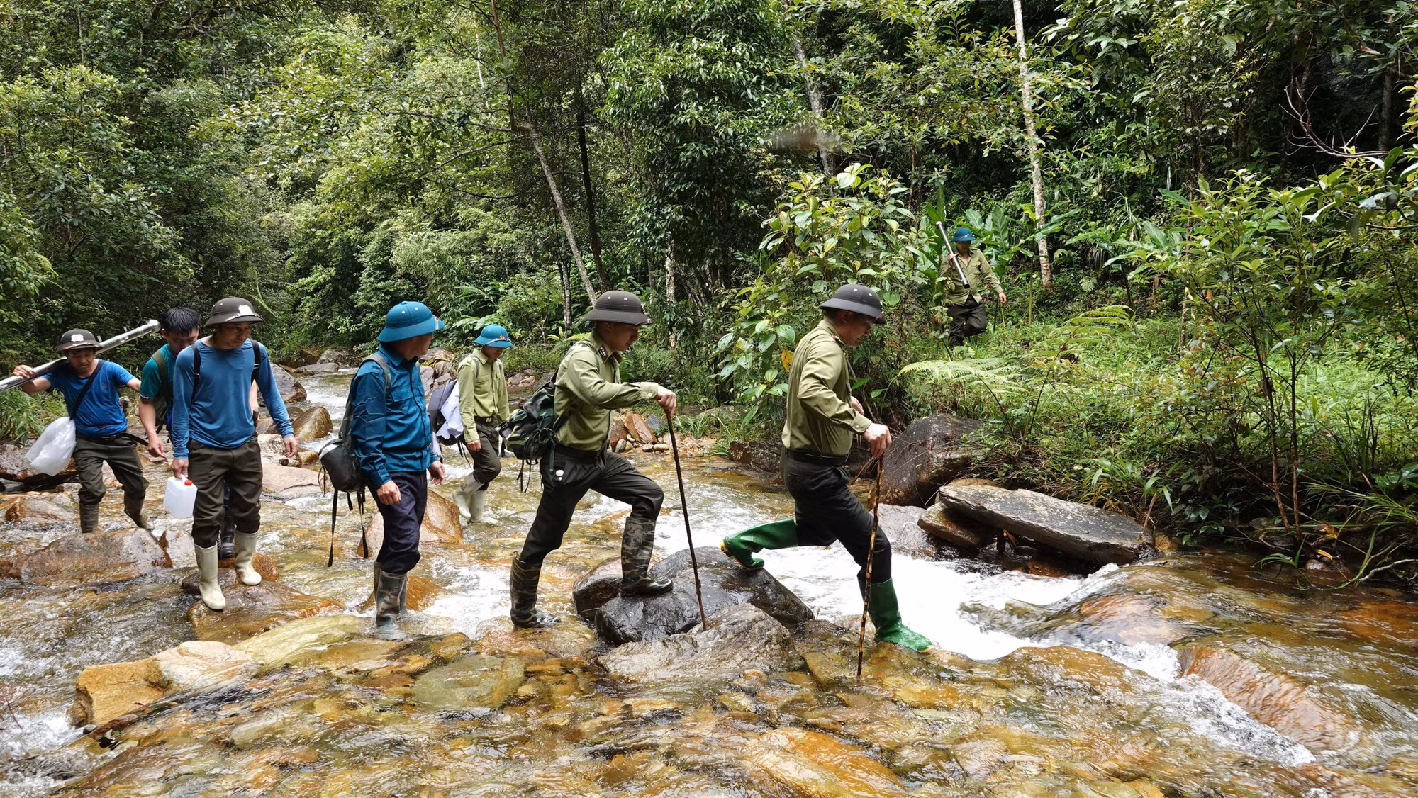 cp1-potal-ngo-ngang-ve-dep-cua-canh-rung-nguyen-sinh-o-vung-cao-mu-cang-chai-7935938.jpg