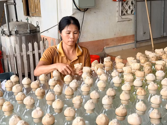 la-minh-phuc4-100926.jpg