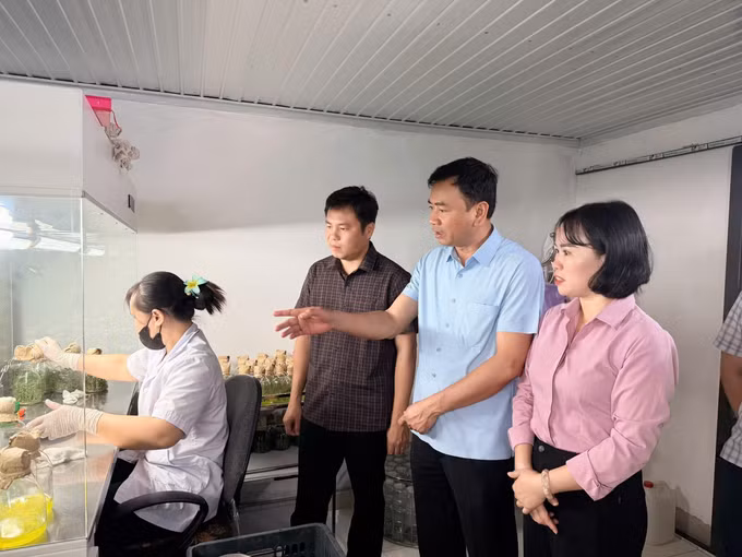 la-minh-phuc3-100926.jpg