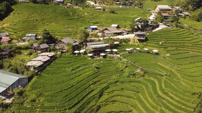 lao-cai-020726.jpg