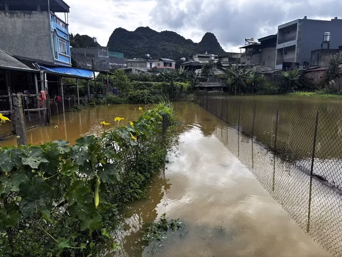 lao-cai3-090726.jpg