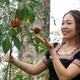 Tìm đầu ra, nâng giá trị 'quốc bảo' sâm Ngọc Linh