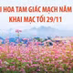 Lễ hội Hoa tam giác mạch năm 2025 khai mạc tối 29/11/2025