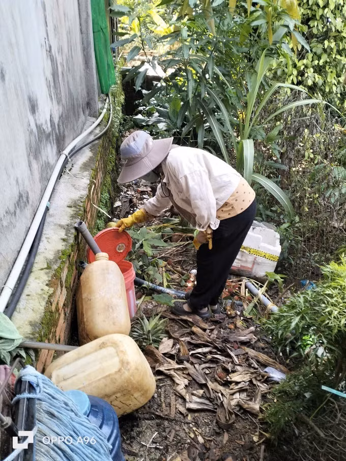 Người dân tăng cường dọn dẹp nhà cửa, vệ sinh môi trường loại bỏ lăng quăng, bọ gậy. Ảnh: CTV/TTXVN phát