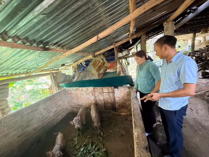 Ông Nguyễn Quang Thế hướng dẫn đồng bào Ca Dong kỹ thuật chăn nuôi.