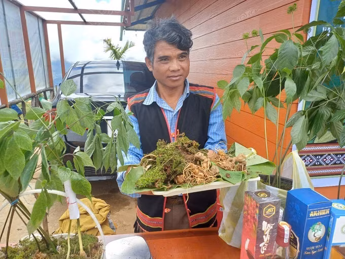 sam-ngoc-linh-kon-tum.jpg