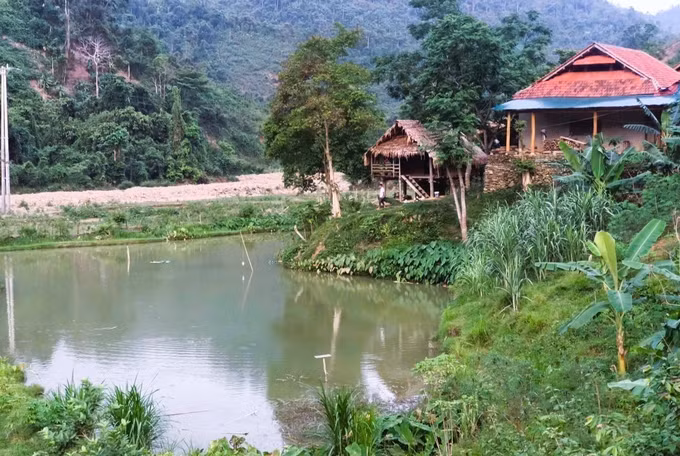 Nhiều diện tích ao nuôi cá trước đây bị lũ dữ càn quét, san phẳng giờ đã được phục hồi. Ảnh: Xuân Tiến/TTXVN