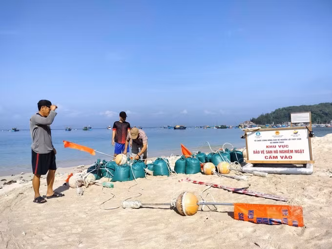 Người dân xã đảo Nhơn Châu chuẩn bị phao, cọc tiêu khoanh vùng khu vực bảo vệ rạn san hô. Ảnh: TTXVN phát