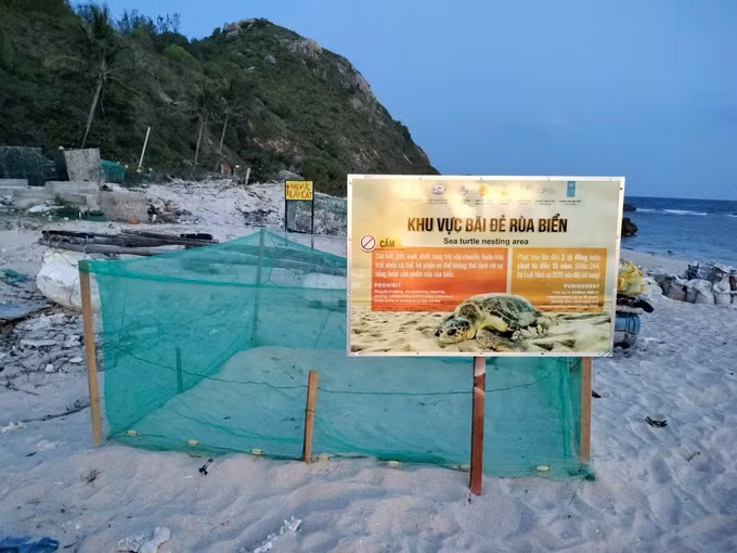 Khu vực bãi đẻ rùa biển tại xã đảo Nhơn Châu được khoanh vùng, bảo vệ nghiêm ngặt. Ảnh: TTXVN phát