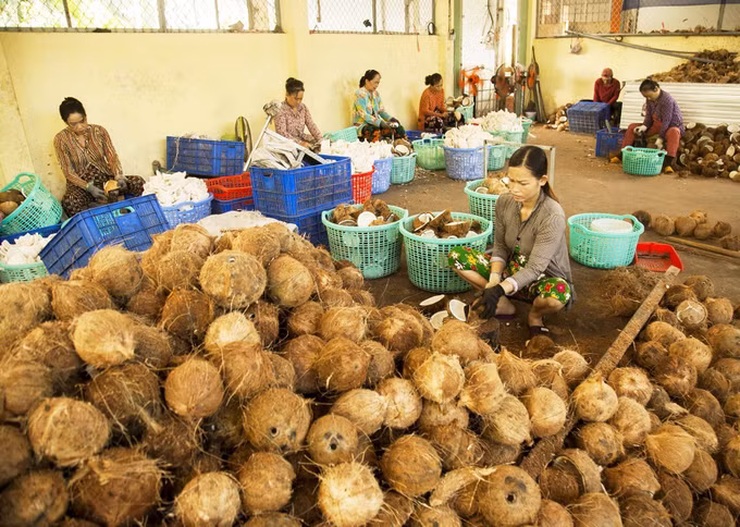 Nông nghiệp xanh (Bài 2) ảnh 1