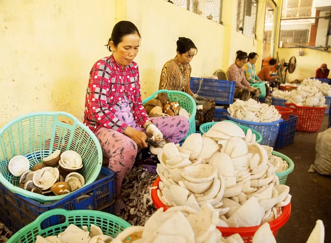 Nông nghiệp xanh (Bài 2) ảnh 2