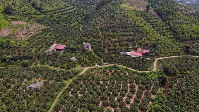Nông nghiệp xanh (Bài 2) ảnh 4