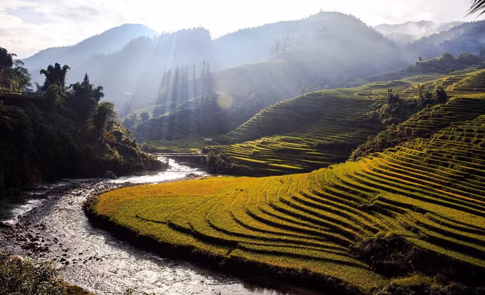 Ngất ngây với vẻ đẹp Sapa vào mùa lúa chín ảnh 6