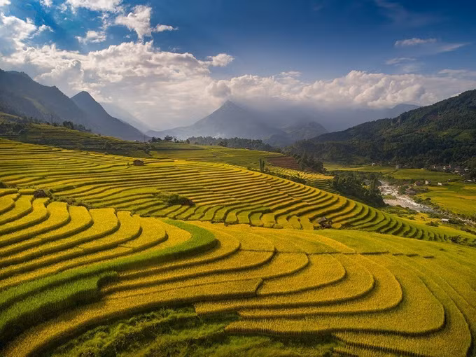 Ngất ngây với vẻ đẹp Sapa vào mùa lúa chín ảnh 3