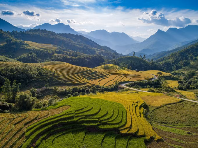 Ngất ngây với vẻ đẹp Sapa vào mùa lúa chín ảnh 5