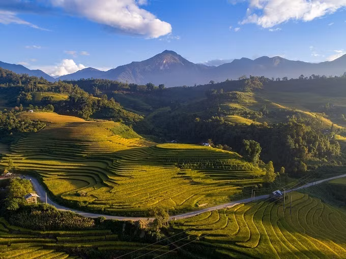 Ngất ngây với vẻ đẹp Sapa vào mùa lúa chín ảnh 1