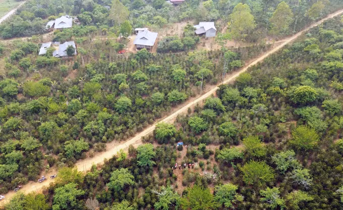 Huyện Thuận Châu (Sơn La) phấn đấu thoát nghèo vào năm 2025 ảnh 11