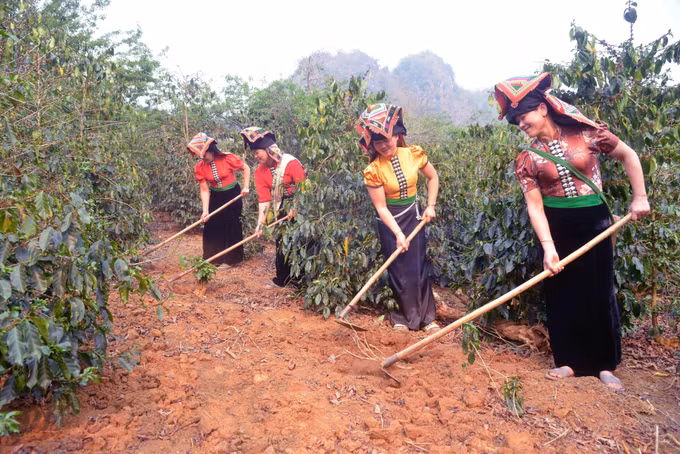 Huyện Thuận Châu (Sơn La) phấn đấu thoát nghèo vào năm 2025 ảnh 3