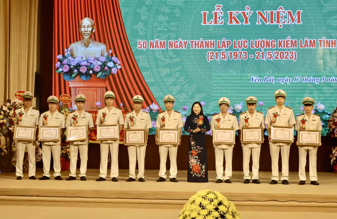Yên Bái đổi mới phương pháp bảo vệ, phát triển rừng ảnh 1