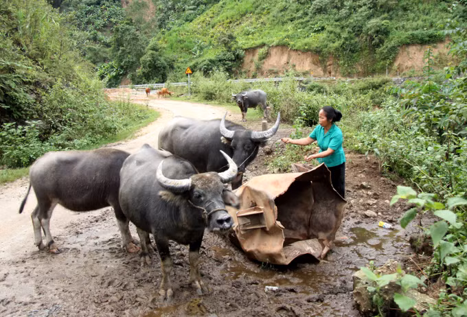 Đòn bẩy giúp đồng bào vùng biên thoát nghèo (Bài 3) ảnh 1
