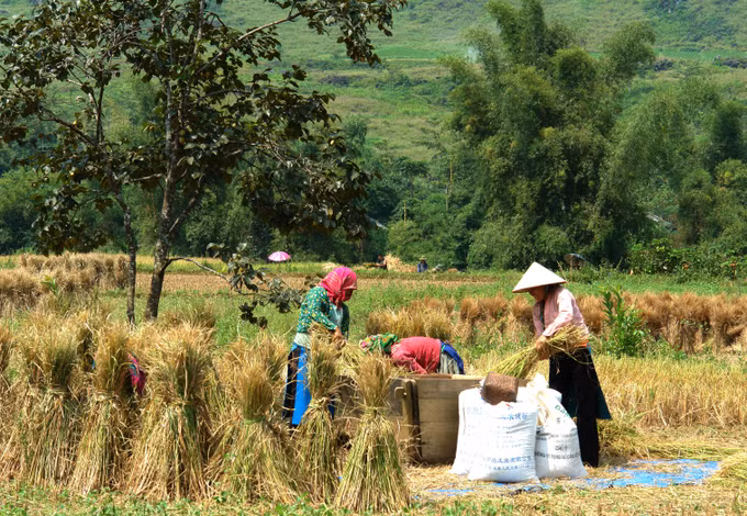 Đòn bẩy giúp đồng bào vùng biên thoát nghèo (Bài 3) ảnh 2