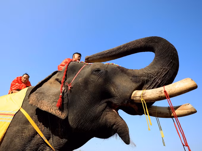 Lễ hội Cà phê Buôn Ma Thuột lần thứ 8: Nhiều ấn tượng tốt đẹp trong lòng công chúng ảnh 2