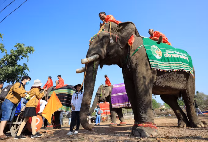 Lễ hội Cà phê Buôn Ma Thuột lần thứ 8: Nhiều ấn tượng tốt đẹp trong lòng công chúng ảnh 3