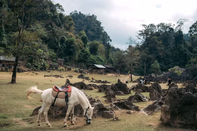 Hang Táu - "làng nguyên thủy" trên cao nguyên Mộc Châu ảnh 7