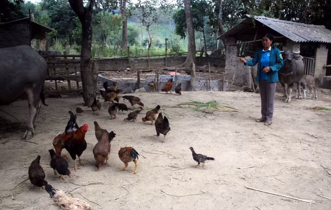 Dân vận khéo gắn với giảm nghèo tại vùng cao xứ Thanh ảnh 3