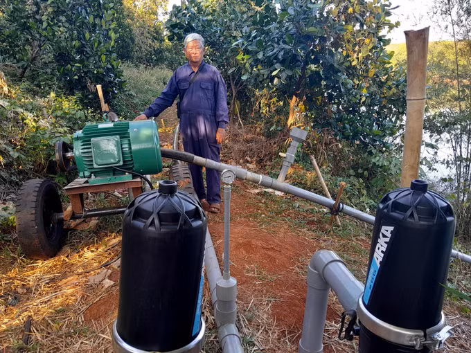 Bình Phước chuẩn bị cho mùa thu hoạch sầu riêng xuất khẩu chính ngạch ảnh 1