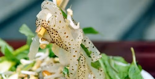 Mặn mòi sứa biển