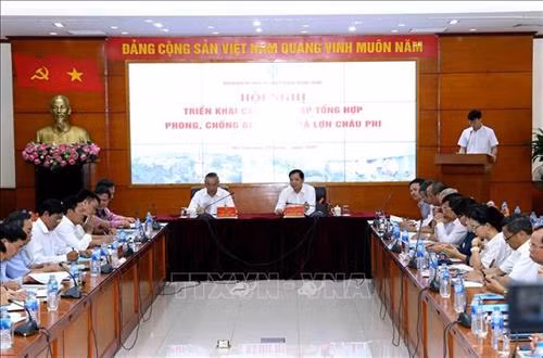 Áp dụng nghiêm quy trình chăn nuôi an toàn sinh học để phòng dịch tả lợn châu Phi