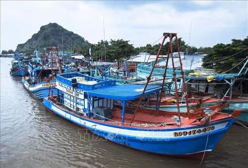 Năm 2019, tiếp tục hỗ trợ hệ thống quan sát tàu cá bằng công nghệ vệ tinh