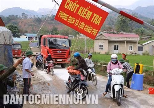 Những biện pháp ứng phó trong vùng dịch tả lợn Châu Phi