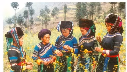 Người Cờ Lao