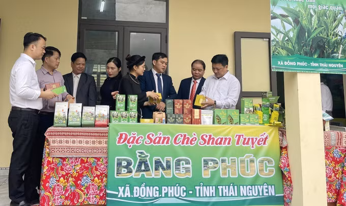 che-shan-tuyet-26032026-01.jpg
