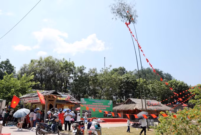 tet-doc-lap-02092026-8998790.jpg
