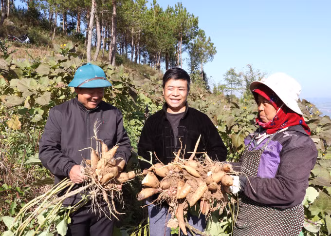 nong-san-tuyen-quang-26032026-01.jpg