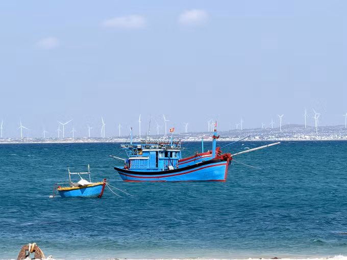 Đảo Hòn Cau với nước biển xanh biếc nhìn về hướng đất liền.