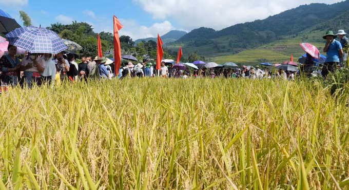 Đông đảo người dân và du khách tham gia ngày hội.