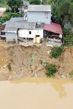 Phú Thọ: Ban hành Lệnh xây dựng công trình khẩn cấp đối với sự cố sạt lở bờ, vở sông đê hữu Lô